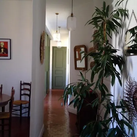 Clada/ Côté * Ajaccio (Corsica)