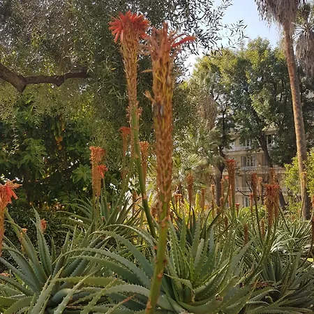 Clada/ Cote Apartment