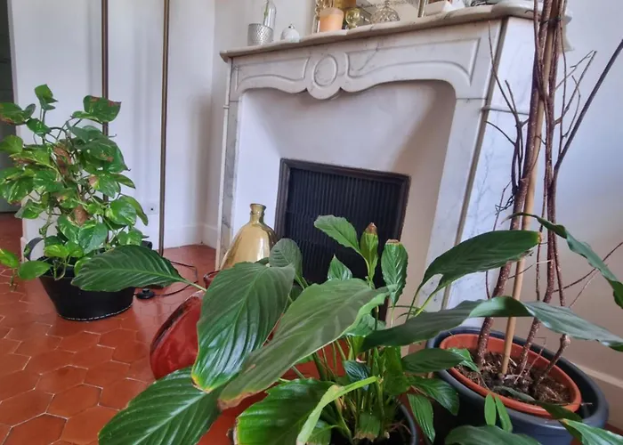 Clada/ Côté Appartement *